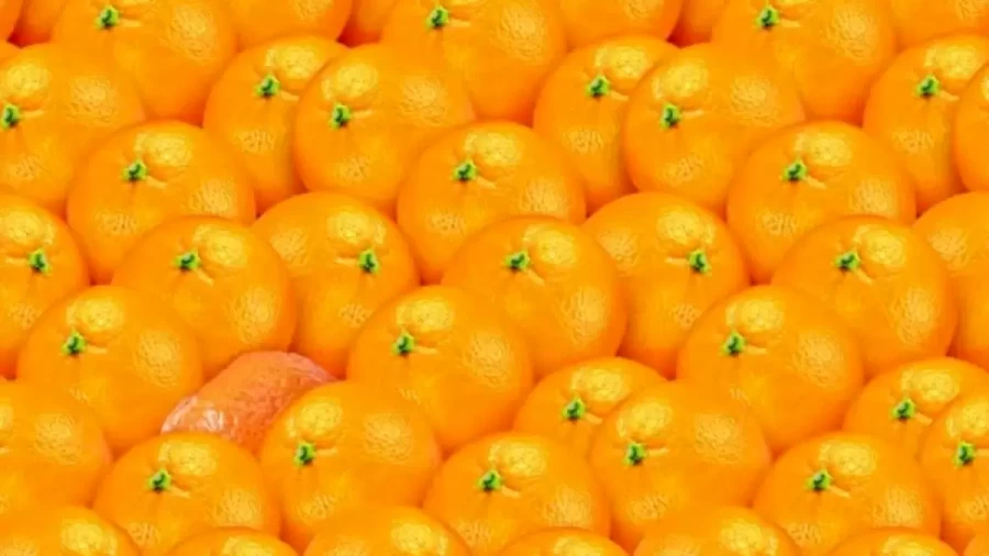 Can You Find The Hidden Tangerine Among These Oranges Within 17 Seconds? Explanation And Solution To The Hidden Tangerine Optical Illusion