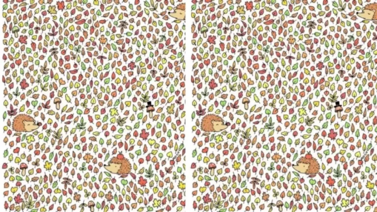 Can You Spot The Acorn Hidden Among The Leaves within 15 Secs? Explanation And Solution To The Acorn Optical Illusion