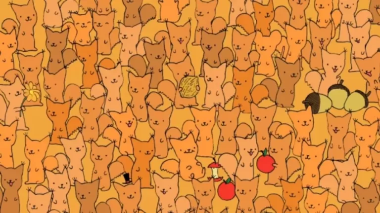 Can You Spot The Hidden Mouse Among These Cats Within 20 Seconds? Explanation And Solution To The Hidden Mouse Optical Illusion