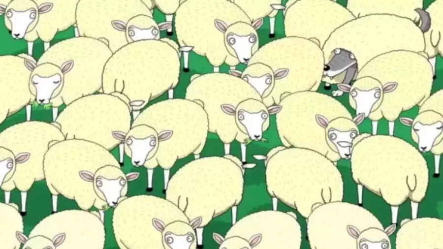 Can You Spot The Wolf In The Sheep Within 10 Secs? Explanation And Solution To The Hidden Wolf Optical Illusion