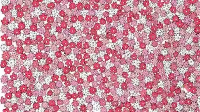 Can You Spot the Duck Among the Flowers in 12 Seconds? Explanation And Solution To The Optical Illusion