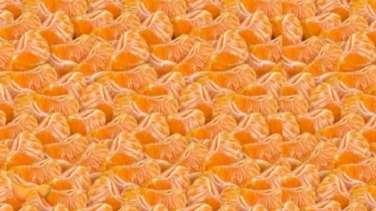 Can You Spot the Melon in this Image within 12 Seconds? Explanation and Solution To The Optical Illusion