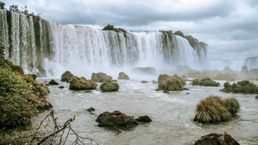 Condor Search Optical Illusion: In Less Than 15 Seconds, Can You Find The Condor In This Waterfalls?