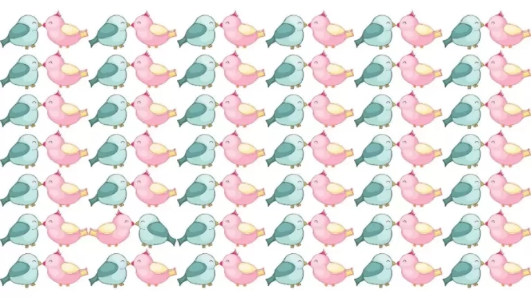 Find The Odd One – Can You Find The Odd Bird In 22 Secs? Brain Teaser