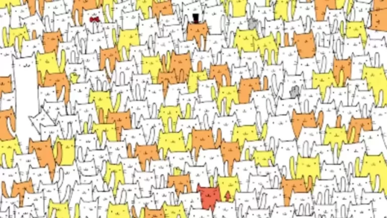 Find and Seek Optical Illusion: Can You Find the Hidden Bunny Among the Cats?