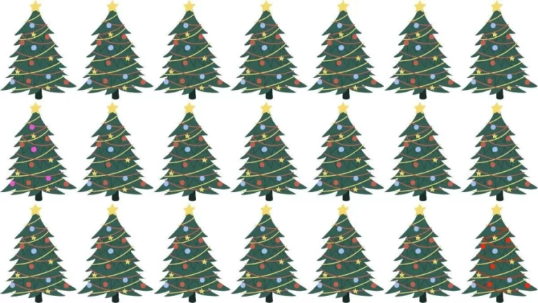 How Many Christmas Trees Can You Note That Does Not Fit In This Group? Brain Teaser Eye Test