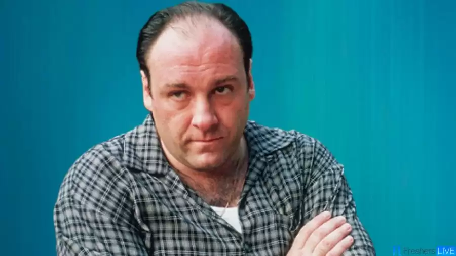 James Gandolfini Ethnicity, What is James Gandolfini’s Ethnicity?