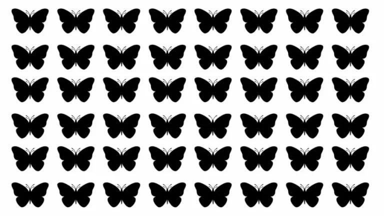 Odd Silhouette Optical Illusion: One Of These Butterfly Silhouettes Is Different From The Others. Can You Detect It Within 21 Seconds?