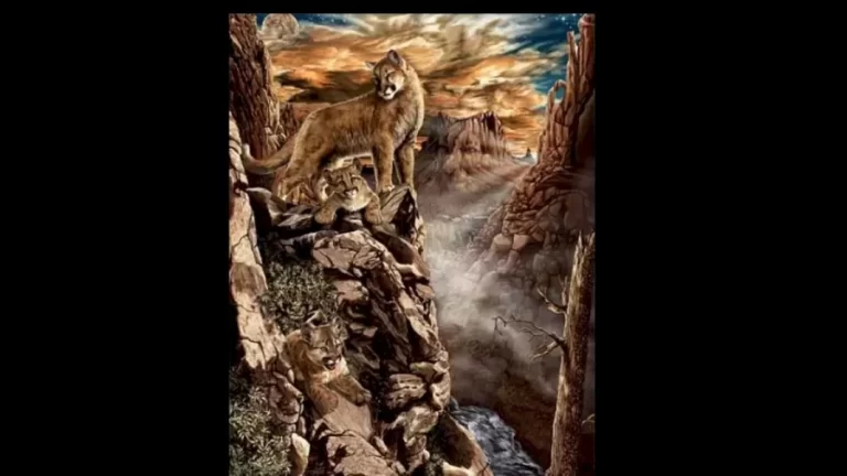 Optical Illusion Brain Test: How Many Mountain Lions Can You Find In This Image?