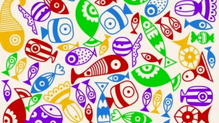 Optical Illusion Challenge: Do You See The Candy Among These Fishes?