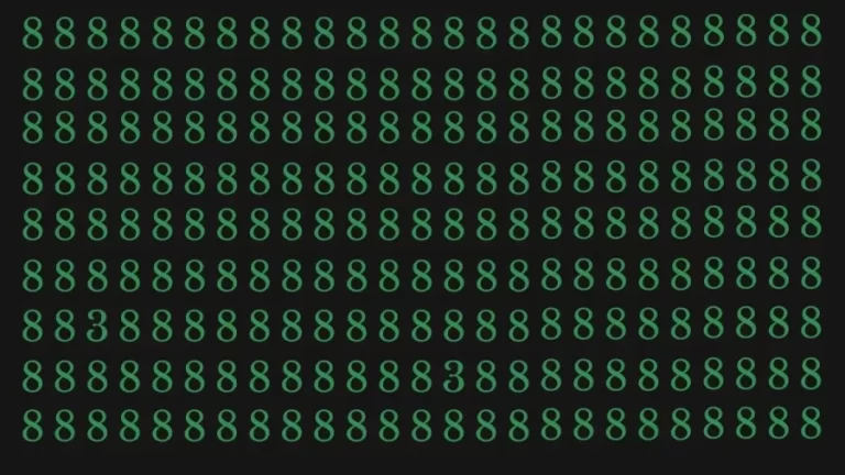 Optical Illusion Challenge: If You Locate The Two 3s Among These 8s Within 20 Seconds You Have Eagle Eyes