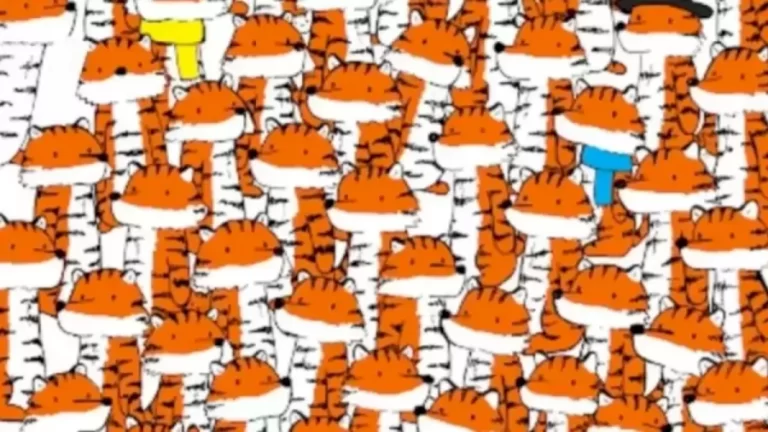 Optical Illusion Eagle Eye Test: Eagle Eyed People Can Find Hidden Cats Among The Tigers?