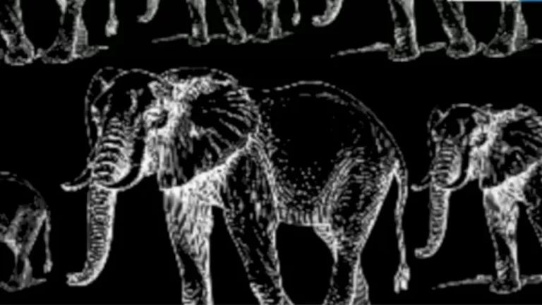 Optical Illusion Eye Test: Can You Find the Hidden Tiger Among these Elephants?