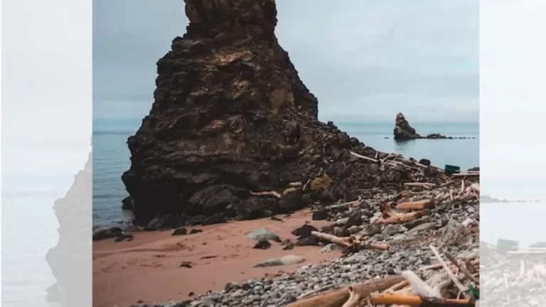 Optical Illusion Eye Test: Try To Spot The Vulture In This Sea Shore Within 14 Seconds