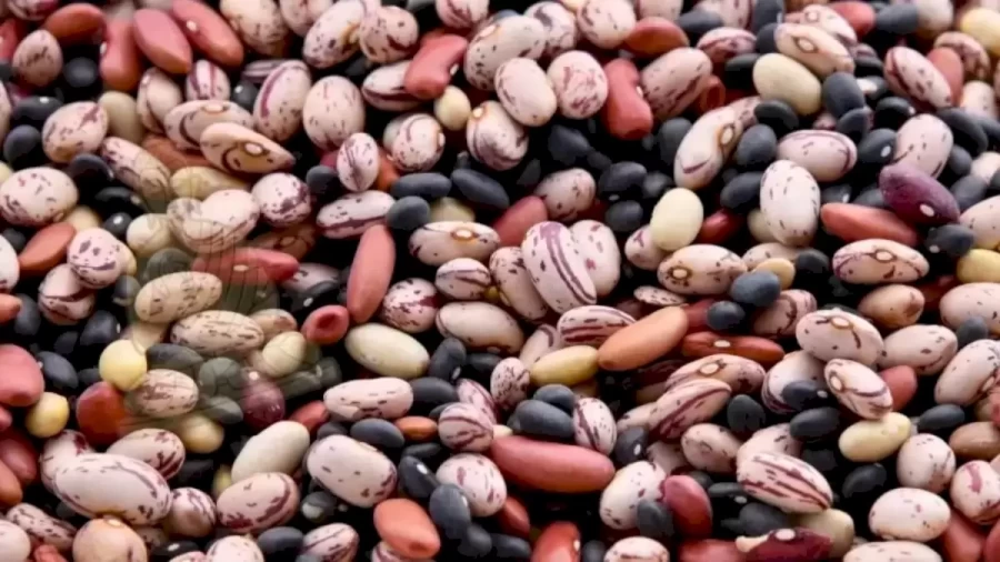 Optical Illusion Eye Test: What do you see among these beans?