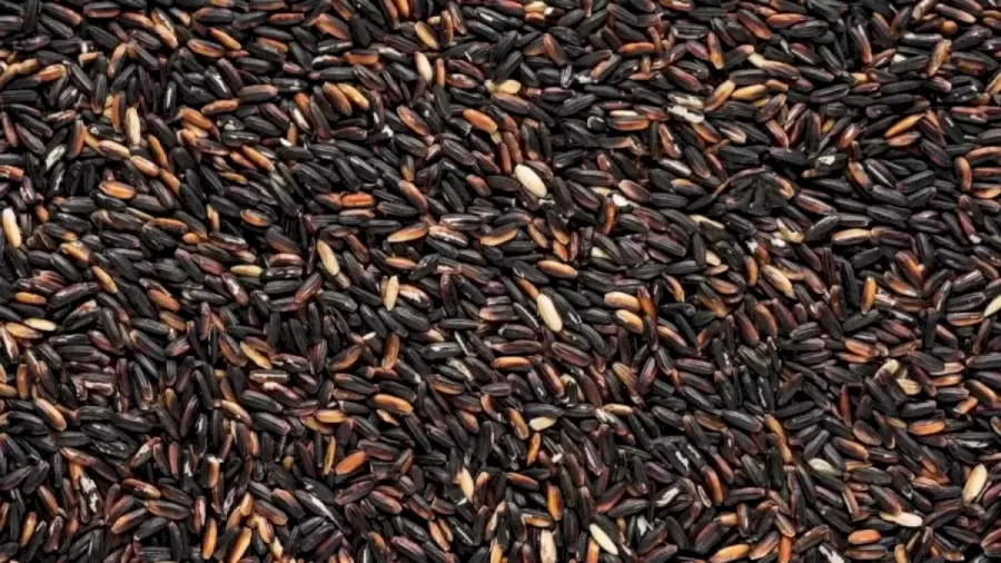 Optical Illusion Find And Seek: Among These Grains, Can You Find The Hidden Charcoal In Less Than 26 Seconds?