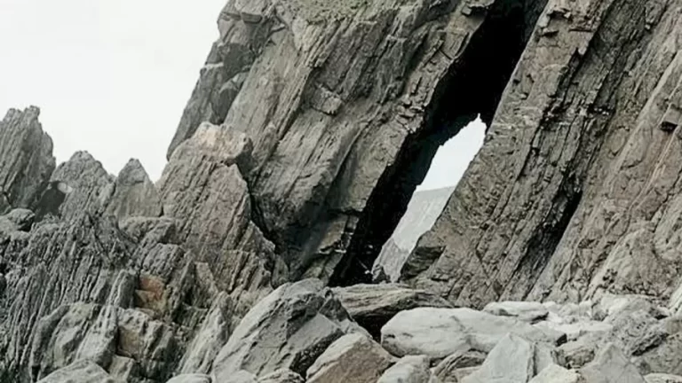 Optical Illusion Find And Seek: Do You See The Vulture In This Rocky Shore?