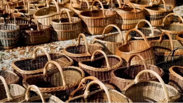 Optical Illusion: Look at the Image and Find Whats Hidden in the Basket?