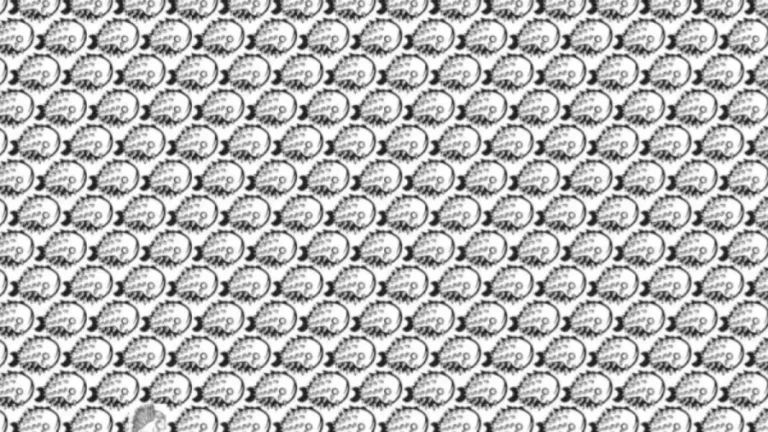 Optical Illusion To Trick Your Eyes: Within 8 Seconds, Spot The Hidden Porcupine In This Optical Illusion