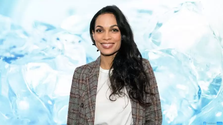 Rosario Dawson Ethnicity, What is Rosario Dawson Ethnicity?