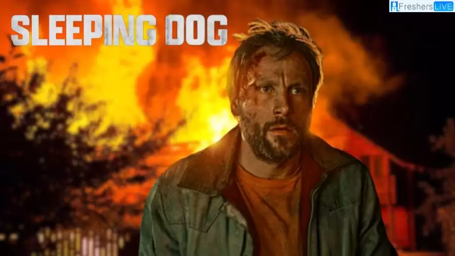 Sleeping Dog Season 1 Episode 6 Recap, Ending Explaination, and Cast