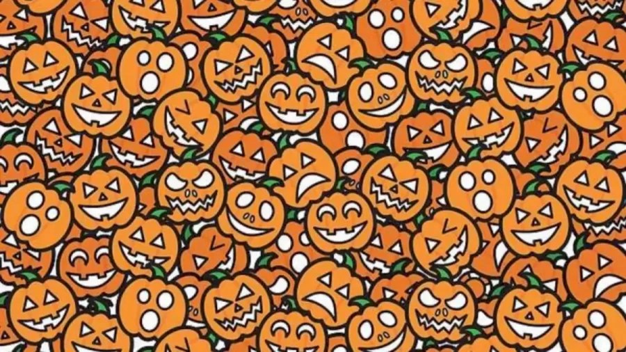 Spot the Difference: Can You Spot the Poker Chip Among the Pumpkins? Explanation and Solution to the Optical Illusion