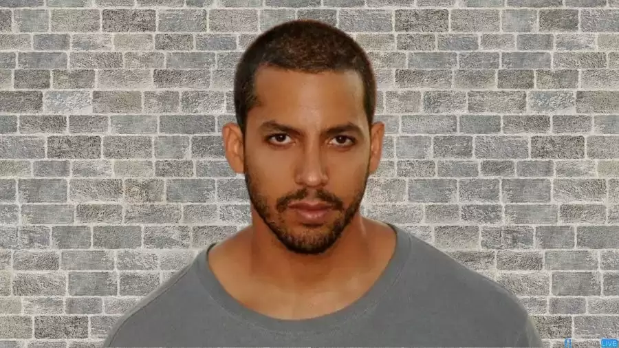 David Blaine Ethnicity, What is David Blaine Ethnicity?