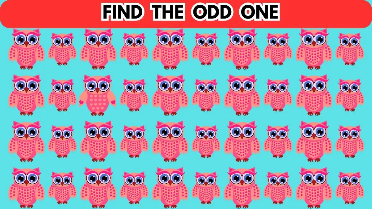 Brain Teaser: Can You Find The Odd One in 8 Seconds?