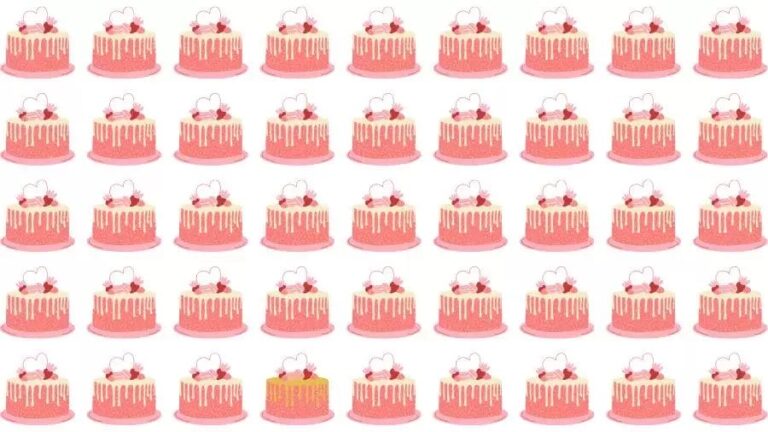 Optical Illusion Challenge: If you have Eagle Eyes find the Odd Cake in 15 Seconds