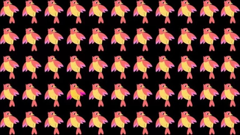 Optical Illusion Challenge: If you have Eagle Eyes find the Odd Bird in 15 Seconds