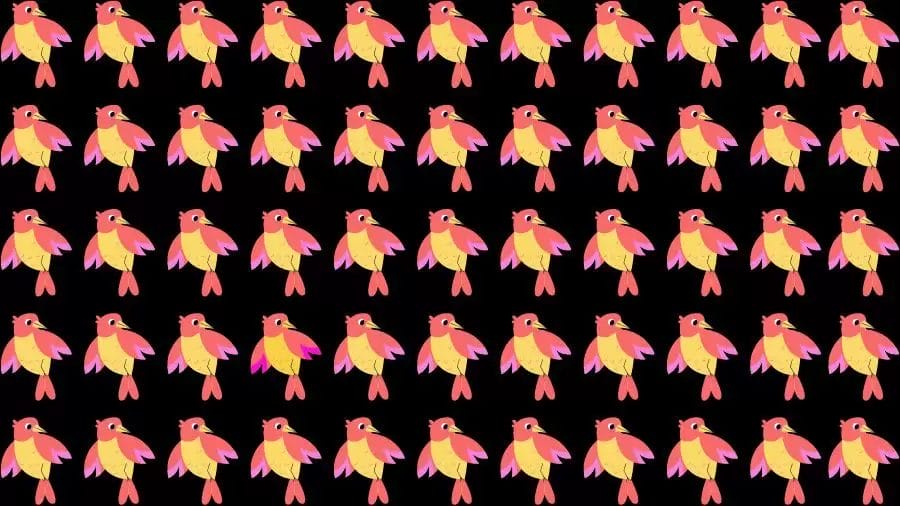 Optical Illusion Challenge: If you have Eagle Eyes find the Odd Bird in 15 Seconds