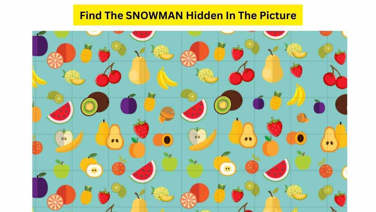 Accept The Challenge To Find The SNOWMAN Hidden In This IQ Test Puzzle. 11 Seconds Left!