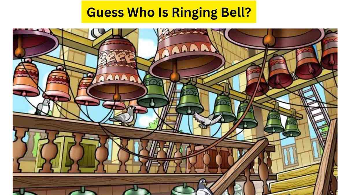 Alert! Can You Find The Intruder Ringing The Bell Within 9 Seconds?