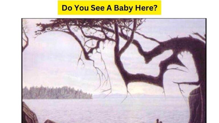 All Can See Riverside View Only 5% Genius Can Find The Infant Hidden In This Optical Illusion. 9 Seconds Left!