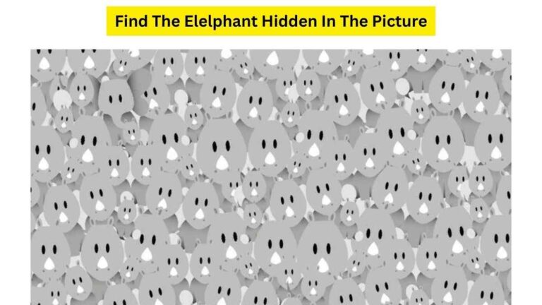 Brain Teaser IQ Test: Can You Find The ELEPHANT Hidden Among Koala Bears In The Picture? 7 Seconds Left!