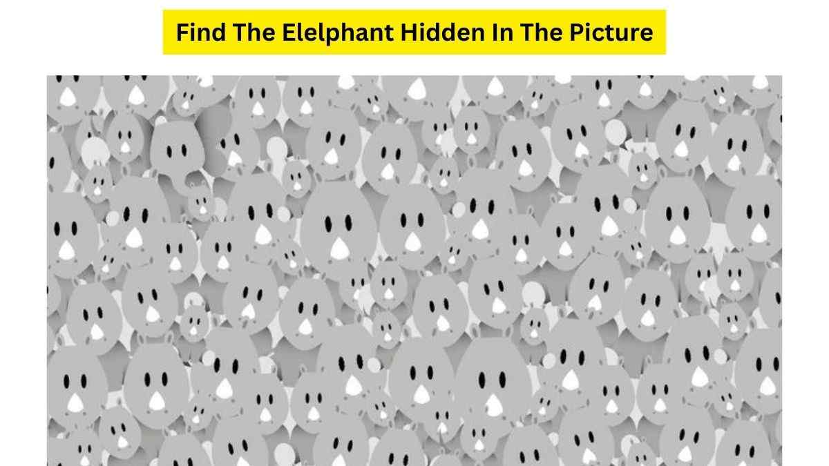 Brain Teaser IQ Test: Can You Find The ELEPHANT Hidden Among Koala Bears In The Picture? 7 Seconds Left!