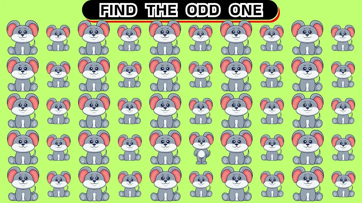 Brain Teaser Odd Challenge: Can You Find the Odd One in 12 Seconds?