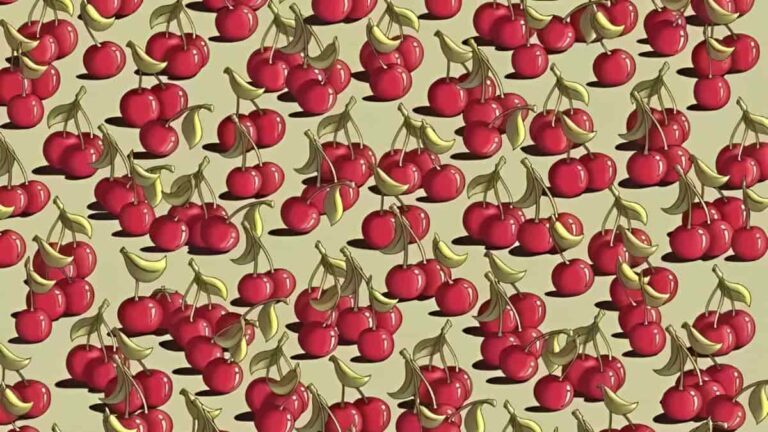 Can you find a tomato among cherries in 9 seconds?