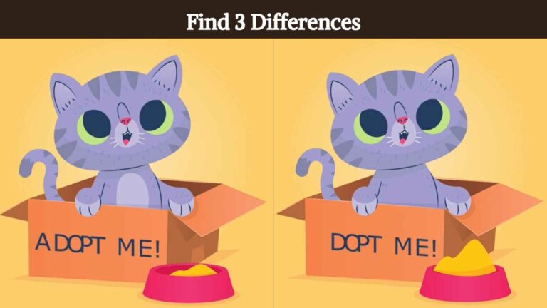 Find 3 differences between the pictures of a cat in a box in 9 seconds!