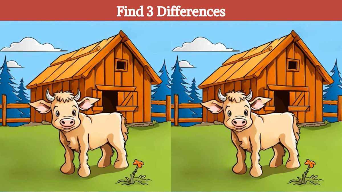 Find 3 differences between the pictures of a cow on the farm in 14 seconds!