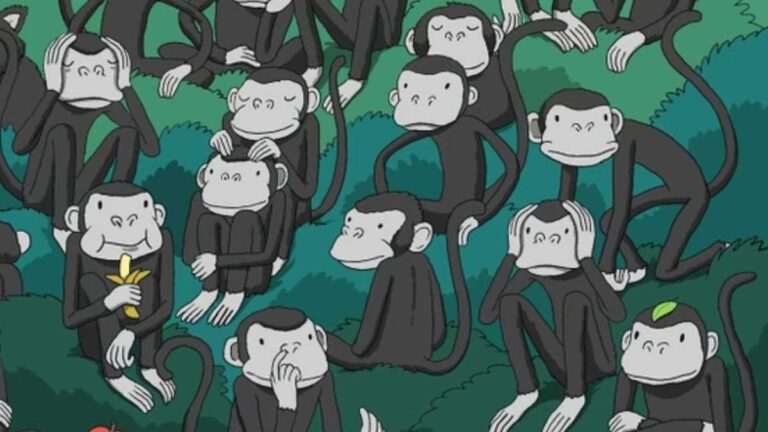 IQ Test Optical Illusion: Only 2% discovered the bear hiding among the monkeys in the jungle picture within 5 seconds!