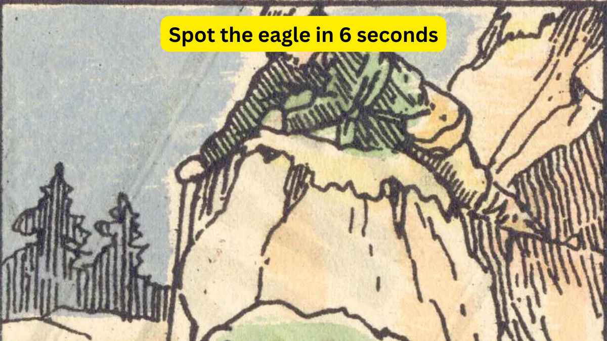 Only 1% of the best geniuses can spot an eagle in the mountains in 6 seconds!