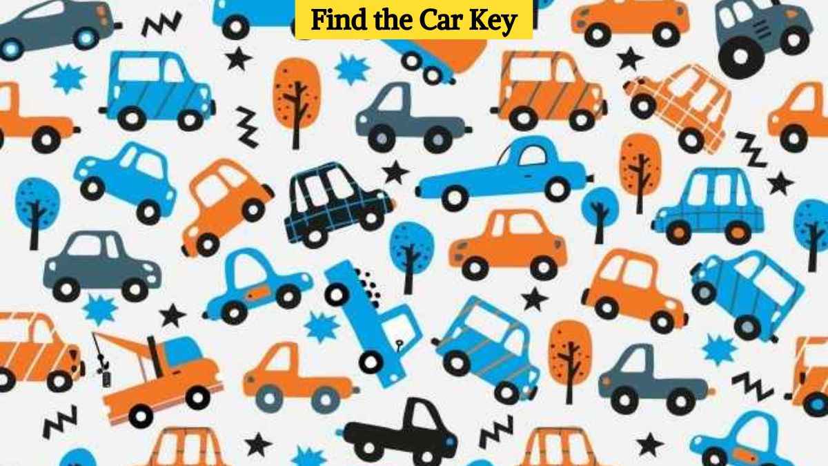 Optical Illusion Eye Test: Find the car key in the picture in 7 seconds!