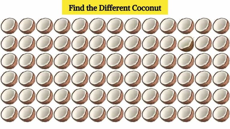 Optical Illusion Eye Test: Find the different coconut in the picture in 5 seconds!