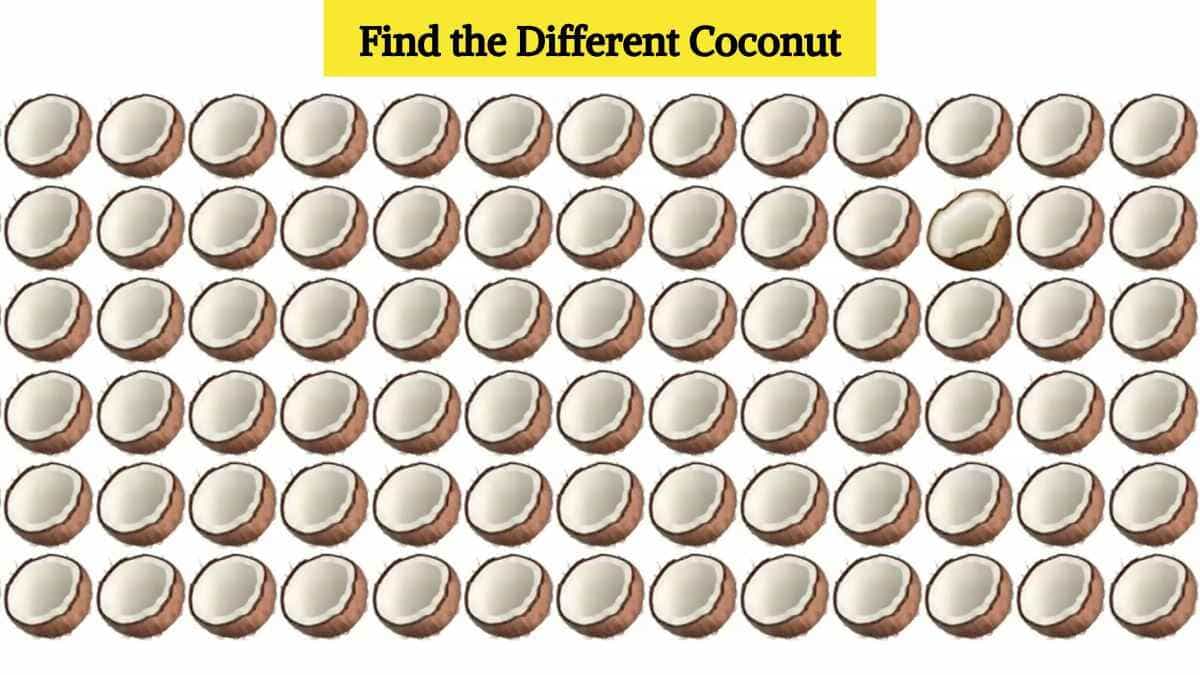 Optical Illusion Eye Test: Find the different coconut in the picture in 5 seconds!