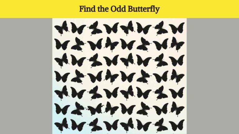 Optical Illusion Eye Test: Find the odd butterfly in the picture in 5 seconds!