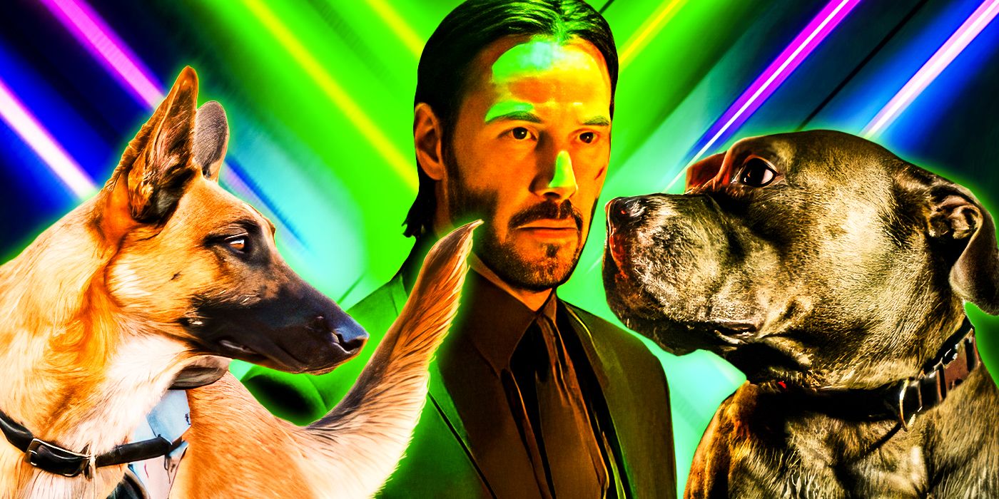 12 Things You Didn’t Know About John Wick’s Dogs