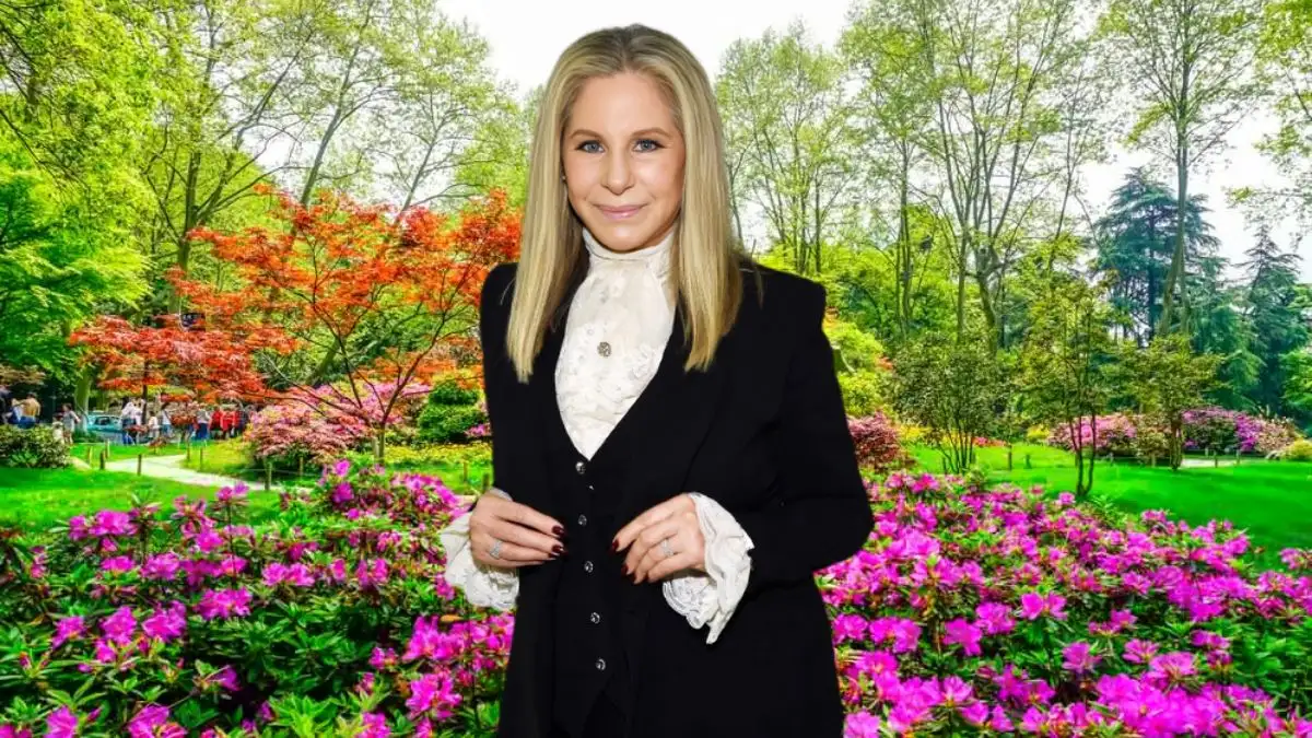 Does Barbra Streisand have Children? Who is Barbra Streisand? Barbra Streisand’s Age, Parents, Nationality, and More