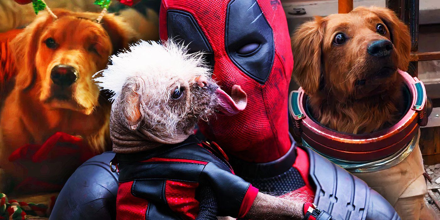 Every Pet Dog In The MCU, Ranked By How Willing We’d Be To Take A Bullet For Them