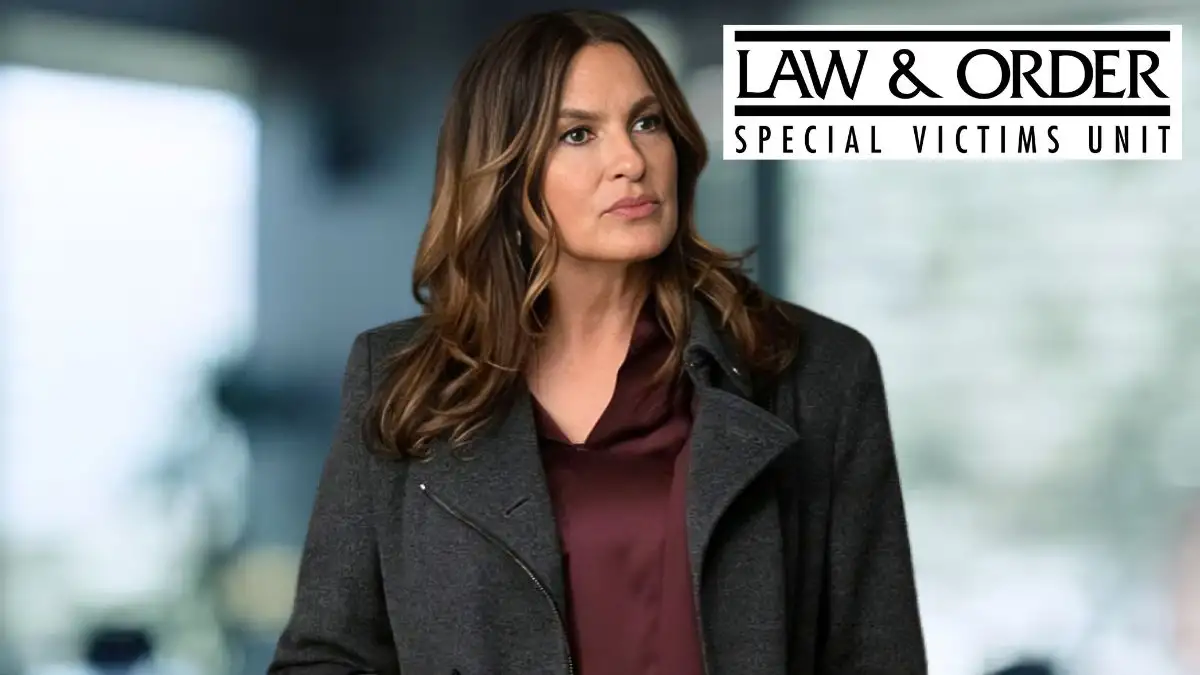 What Happened on Law & Order SVU This Week? What is the Main Case on Law & Order: SVU This Week?